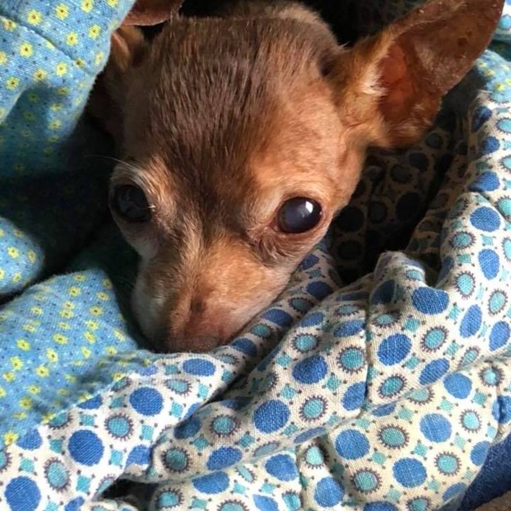 Meet your Posher, Rebecca